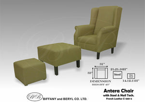 Antera Accent Chair w/ Stool